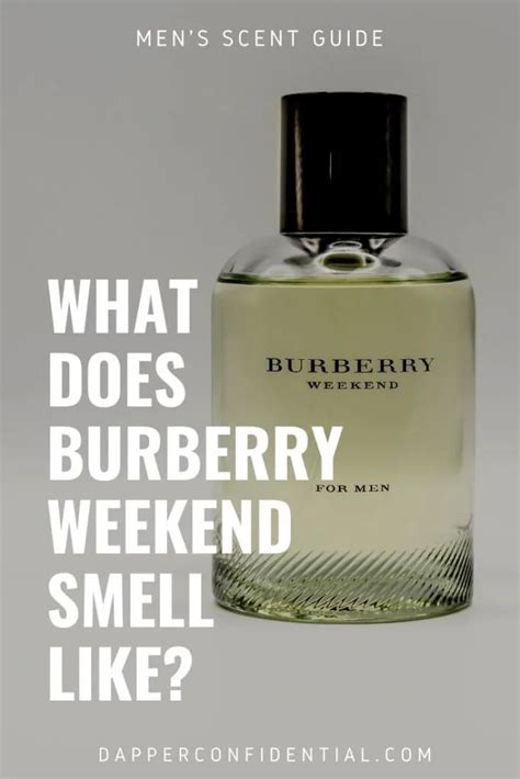 what does burberry smell like